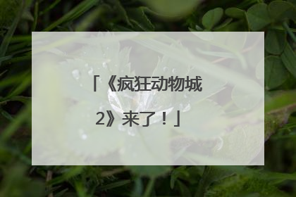 《疯狂动物城2》来了！