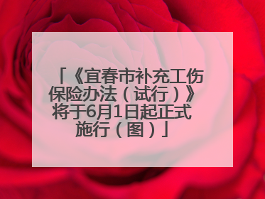 《宜春市补充工伤保险办法（试行）》将于6月1日起正式施行（图）