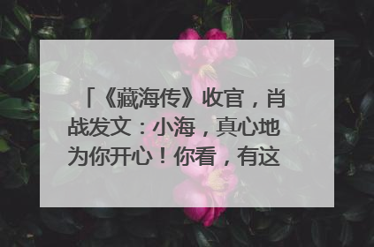 《藏海传》收官，肖战发文：小海，真心地为你开心！你看，有这么多人懂你！