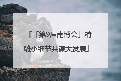 「第9届南博会」精雕小细节共谋大发展