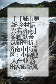 「城市更新·乡村振兴看济南」锦鲤跃金 沃野图新！济南市长清区：小锦鲤大产业 游出农旅新风景