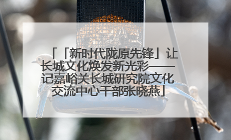 「新时代陇原先锋」让长城文化焕发新光彩——记嘉峪关长城研究院文化交流中心干部张晓燕