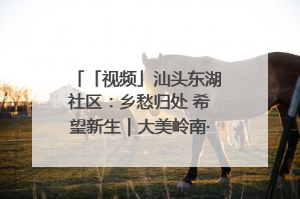 「视频」汕头东湖社区：乡愁归处 希望新生｜大美岭南·百村焕新记