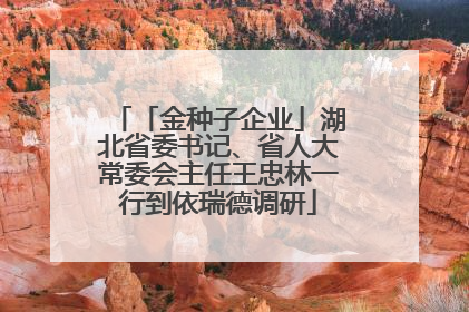 「金种子企业」湖北省委书记、省人大常委会主任王忠林一行到依瑞德调研