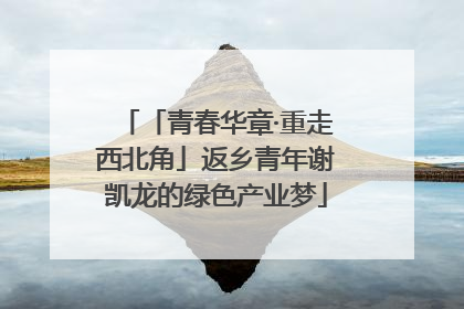 「青春华章·重走西北角」返乡青年谢凯龙的绿色产业梦