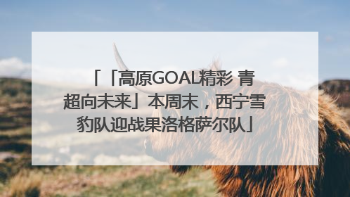 「高原GOAL精彩 青超向未来」本周末，西宁雪豹队迎战果洛格萨尔队