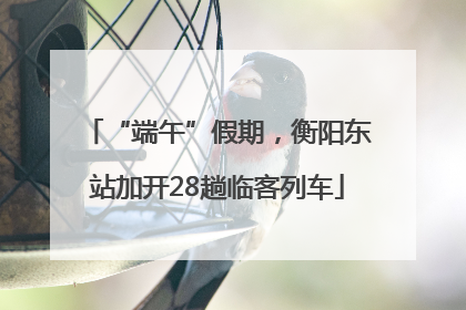 “端午”假期，衡阳东站加开28趟临客列车