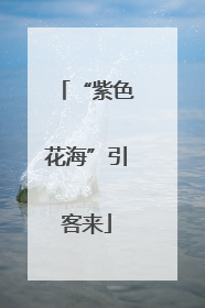 “紫色花海”引客来