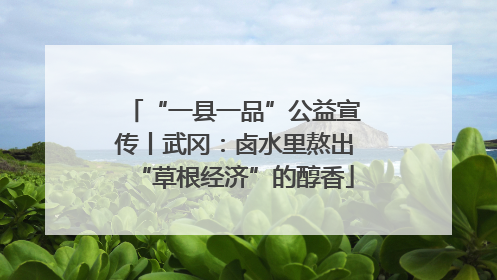 “一县一品”公益宣传丨武冈：卤水里熬出“草根经济”的醇香