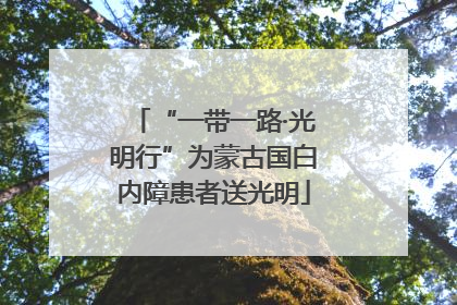“一带一路·光明行”为蒙古国白内障患者送光明