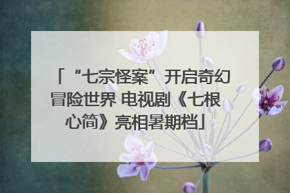 “七宗怪案”开启奇幻冒险世界 电视剧《七根心简》亮相暑期档