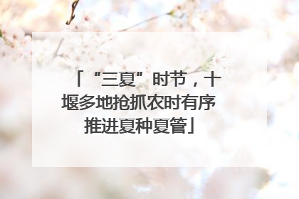 “三夏”时节，十堰多地抢抓农时有序推进夏种夏管