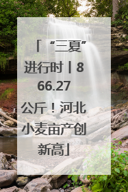 “三夏”进行时丨866.27公斤！河北小麦亩产创新高