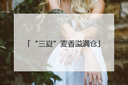 “三夏”麦香溢满仓