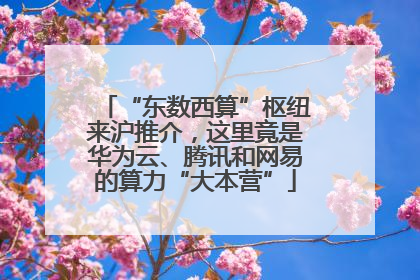 “东数西算”枢纽来沪推介，这里竟是华为云、腾讯和网易的算力“大本营”