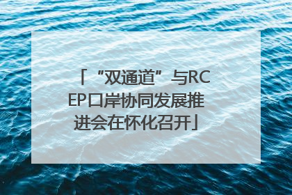 “双通道”与RCEP口岸协同发展推进会在怀化召开