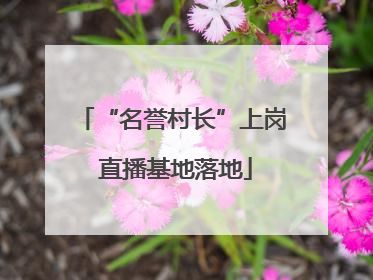 “名誉村长”上岗 直播基地落地