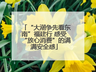 “大潮争先看东南”福建行 感受“放心消费”的满满安全感