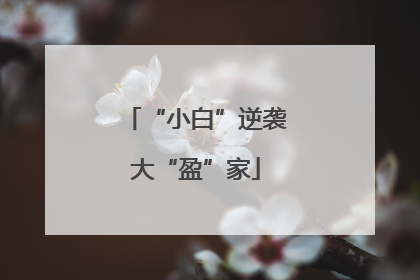 “小白”逆袭大“盈”家