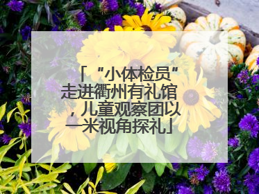 “小体检员”走进衢州有礼馆，儿童观察团以一米视角探礼