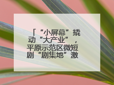 “小屏幕”撬动“大产业”，平原示范区微短剧“剧集地”激活文化新经济