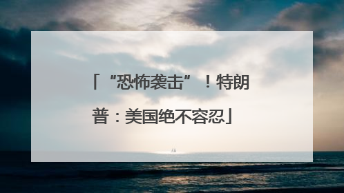 “恐怖袭击”！特朗普：美国绝不容忍