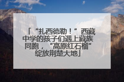 “扎西德勒！”西藏中学的孩子们遇上藏族同胞，“高原红石榴”绽放荆楚大地