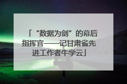 “数据为剑”的幕后指挥官——记甘肃省先进工作者牛学云