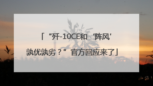 “歼-10CE和‘阵风’孰优孰劣？”官方回应来了