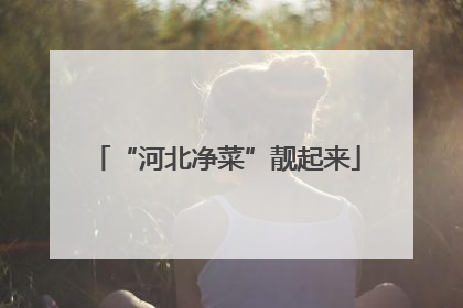 “河北净菜”靓起来