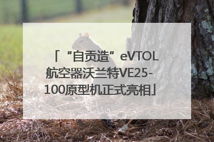 “自贡造”eVTOL航空器沃兰特VE25-100原型机正式亮相