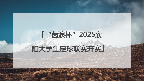 “茵浪杯”2025襄阳大学生足球联赛开赛