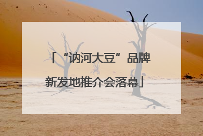 “讷河大豆”品牌新发地推介会落幕