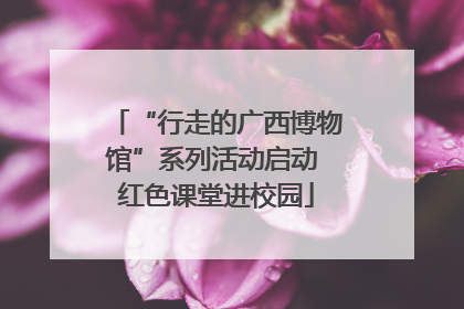 “行走的广西博物馆”系列活动启动 红色课堂进校园