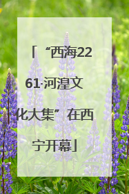 “西海2261·河湟文化大集”在西宁开幕
