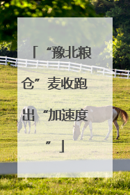 “豫北粮仓”麦收跑出“加速度”