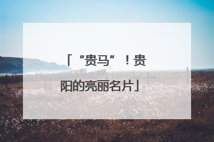 “贵马”！贵阳的亮丽名片