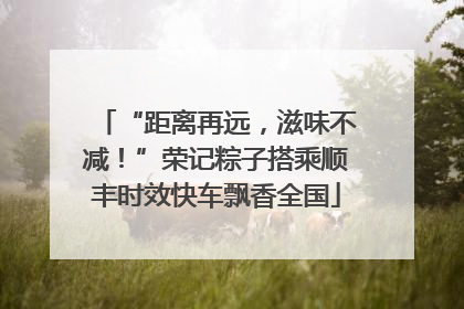 “距离再远，滋味不减！”荣记粽子搭乘顺丰时效快车飘香全国