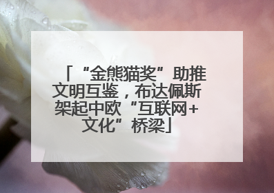 “金熊猫奖”助推文明互鉴，布达佩斯架起中欧“互联网+文化”桥梁