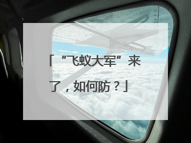 “飞蚁大军”来了，如何防？