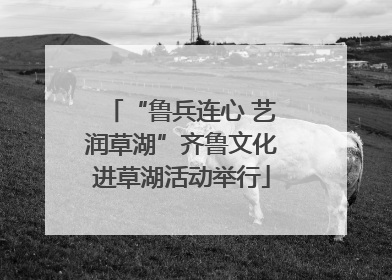 “鲁兵连心 艺润草湖”齐鲁文化进草湖活动举行