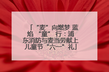 “麦”向燃梦 蓝焰 “童” 行：浦东消防与麦当劳献上儿童节“六一”礼