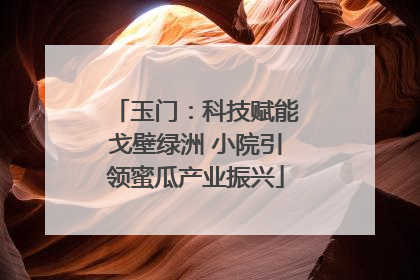 玉门：科技赋能戈壁绿洲 小院引领蜜瓜产业振兴