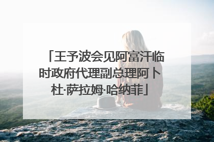 王予波会见阿富汗临时政府代理副总理阿卜杜·萨拉姆·哈纳菲