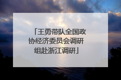 王勇带队全国政协经济委员会调研组赴浙江调研