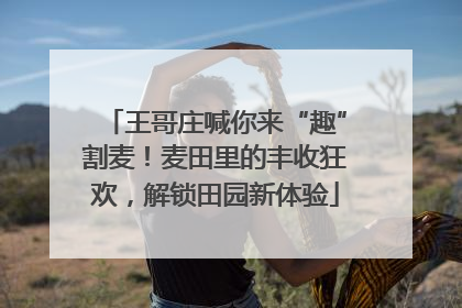 王哥庄喊你来“趣”割麦！麦田里的丰收狂欢，解锁田园新体验
