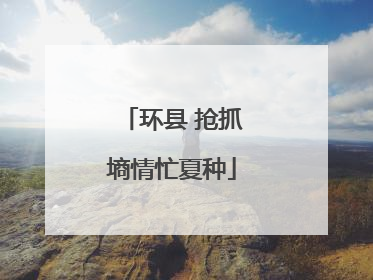 环县 抢抓墒情忙夏种