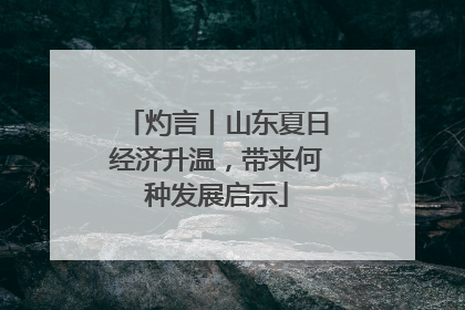 灼言丨山东夏日经济升温，带来何种发展启示