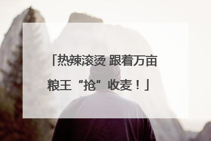 热辣滚烫 跟着万亩粮王“抢”收麦！