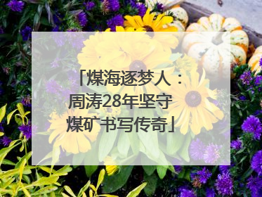 煤海逐梦人：周涛28年坚守煤矿书写传奇